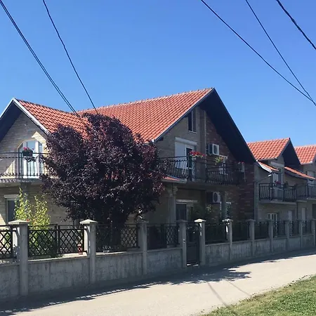 Sangaj Belgrade